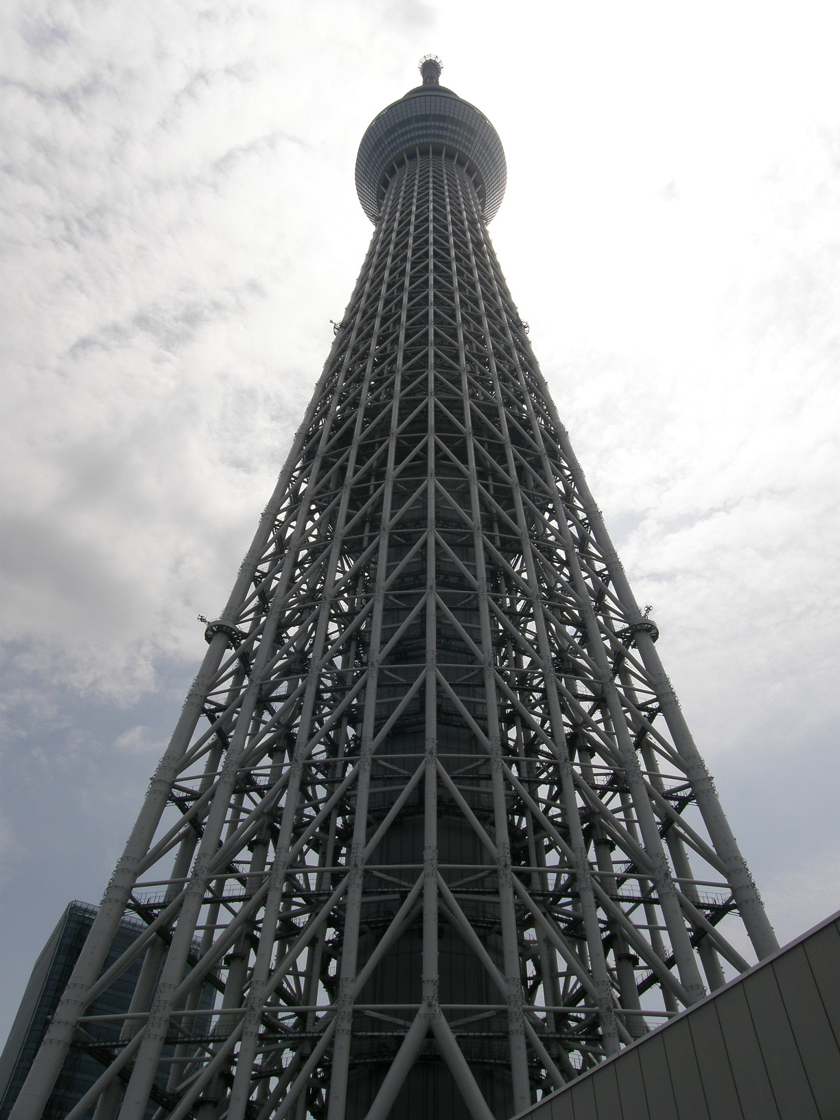P5260742.jpg