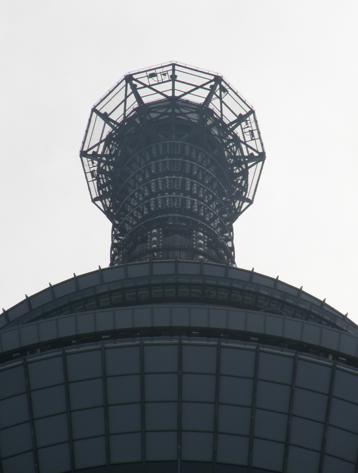 P5260754.jpg