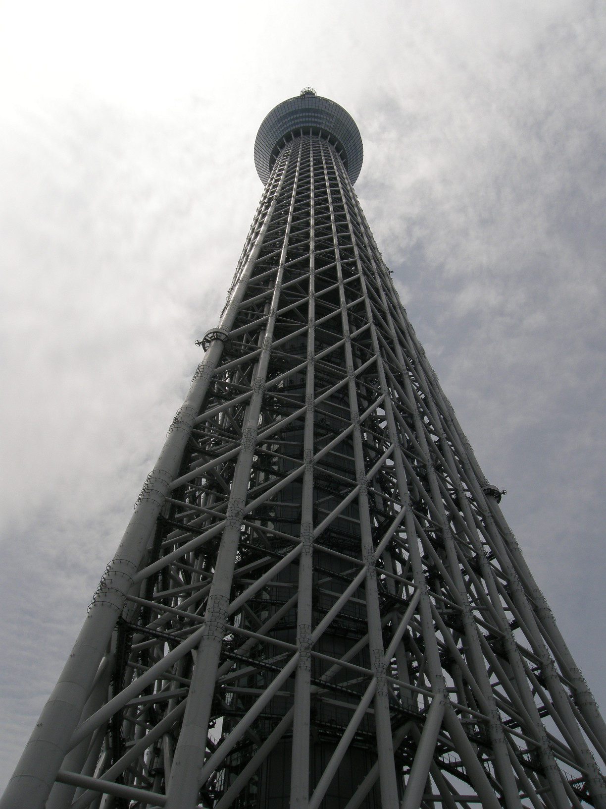 P5260798.jpg