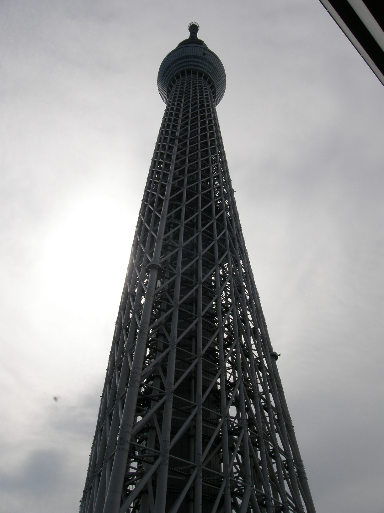 P5261037.jpg