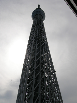 P5261037_thumb.png
