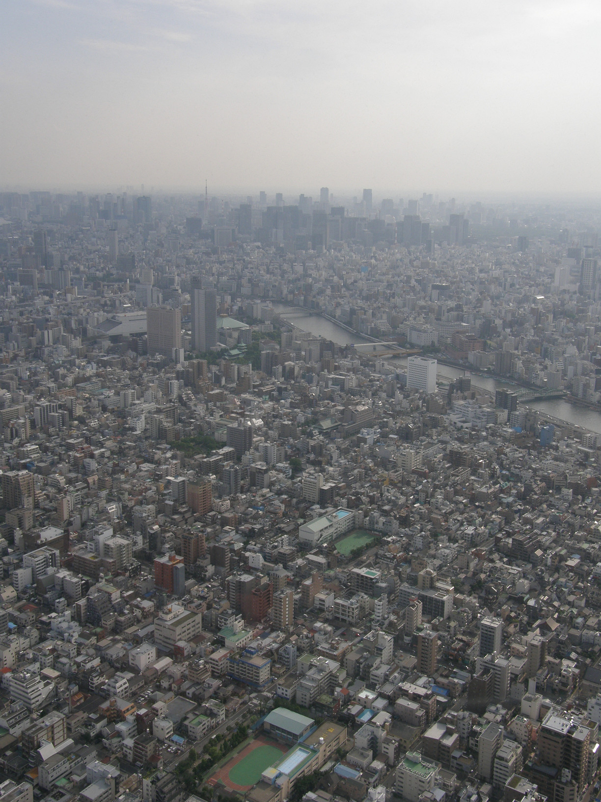 P5261047.jpg