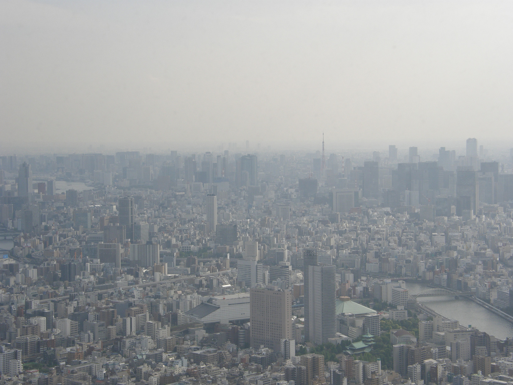 P5261049.jpg