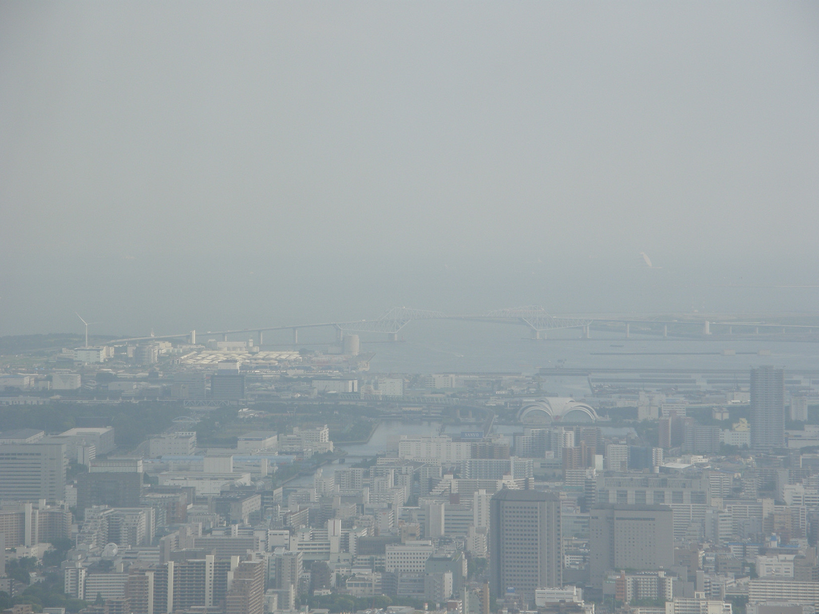 P5261054.jpg