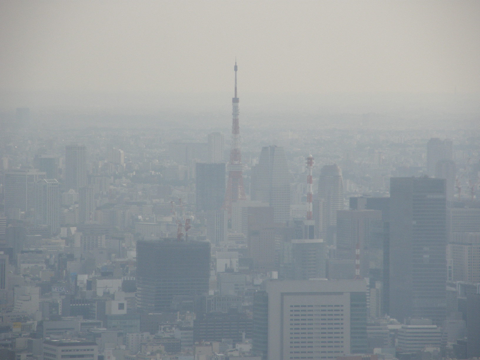 P5261058.jpg