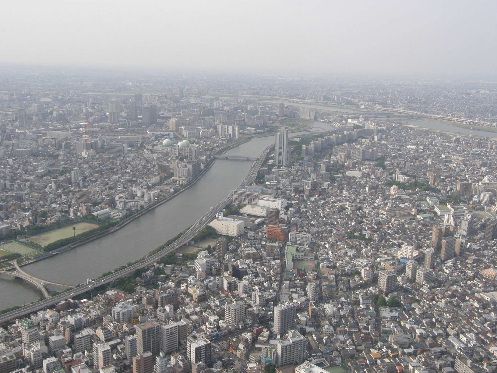 P5261061.jpg