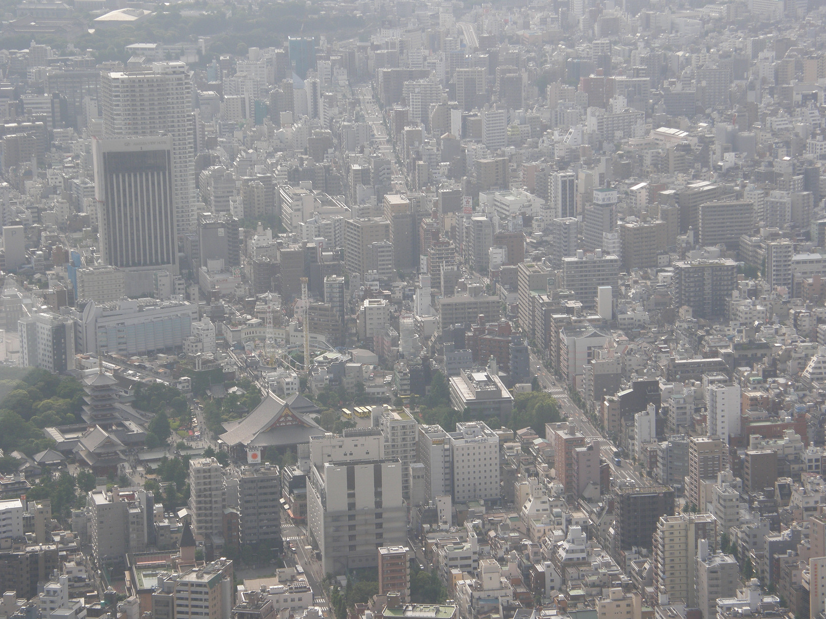 P5261062.jpg
