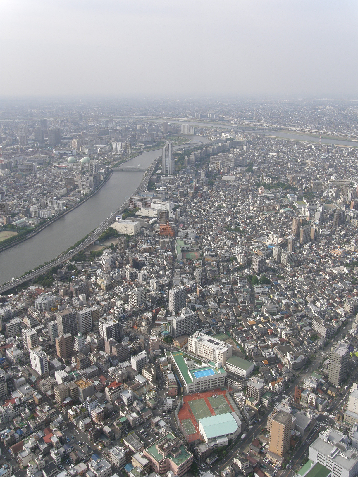 P5261063.jpg
