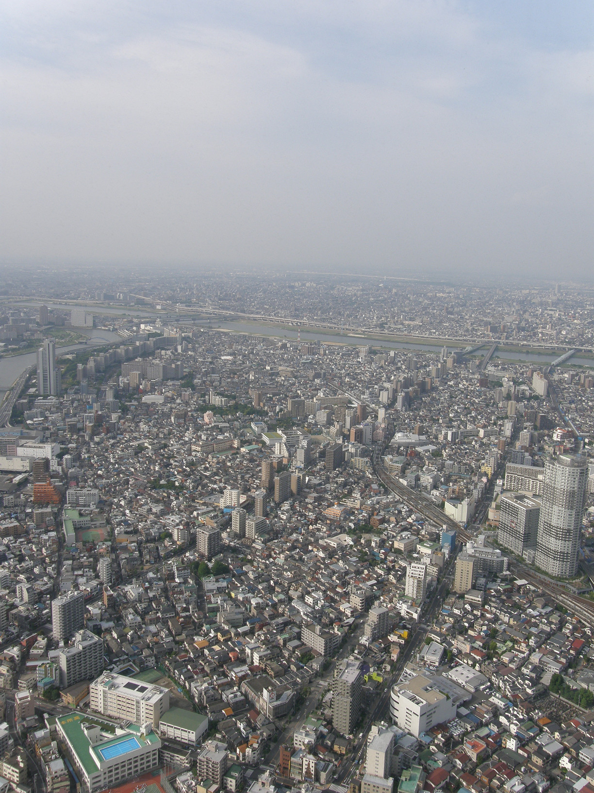 P5261064.jpg