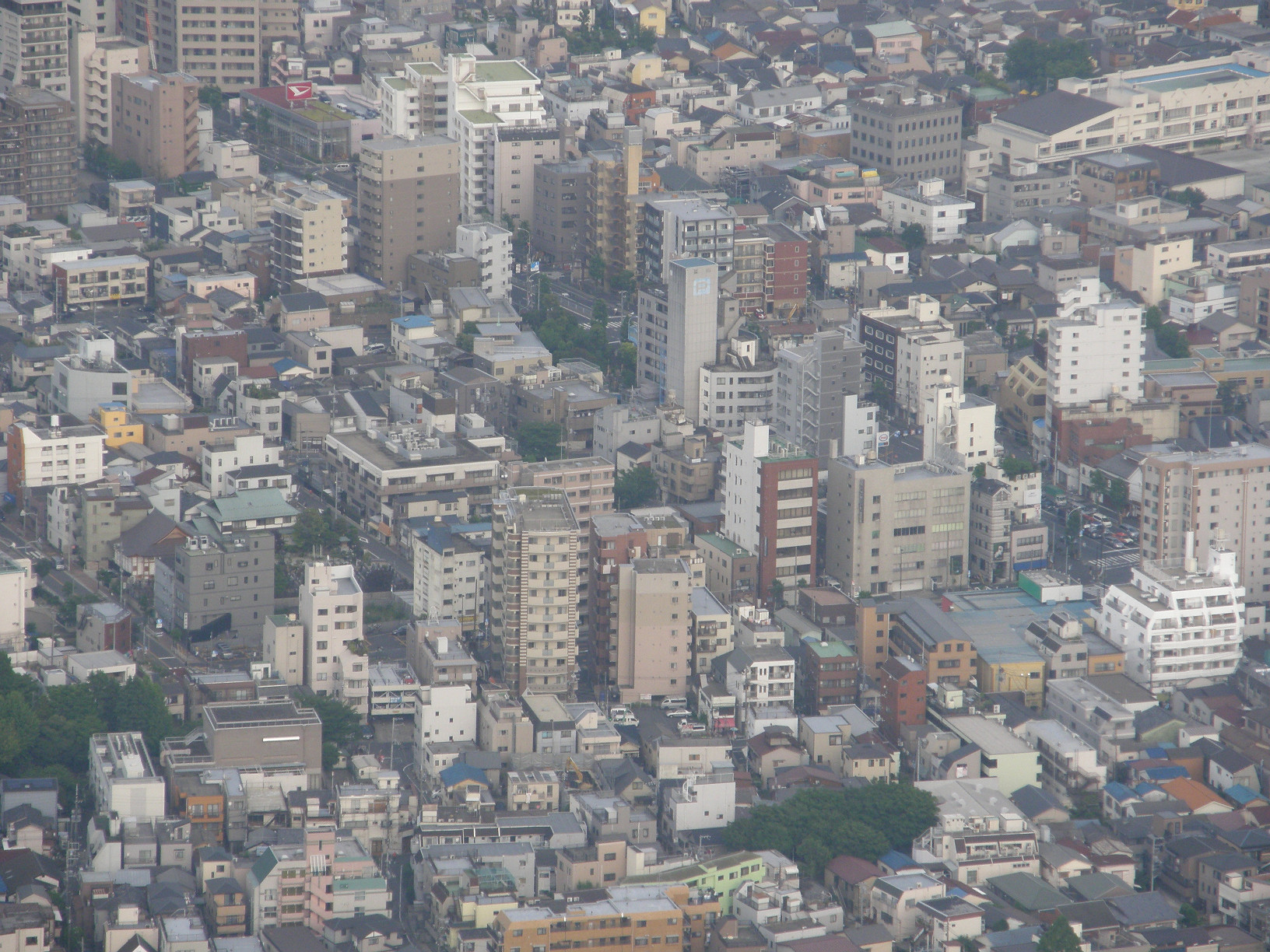 P5261080.jpg