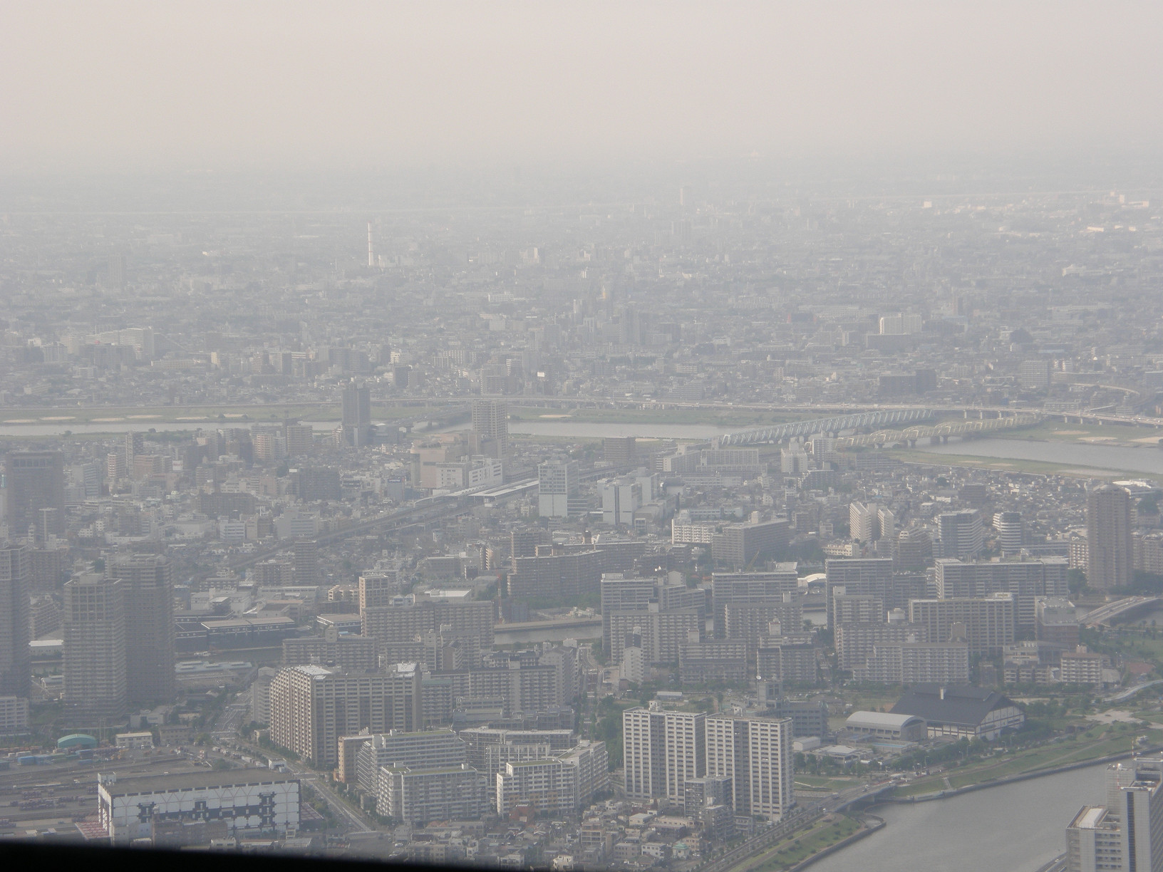 P5261089.jpg