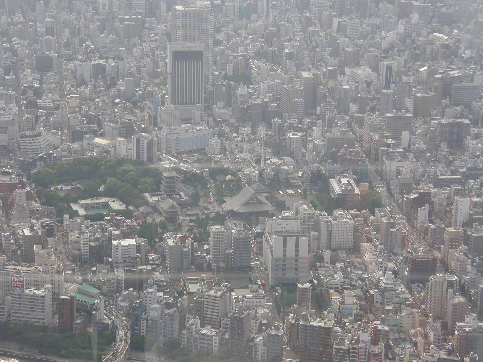 P5261103.jpg
