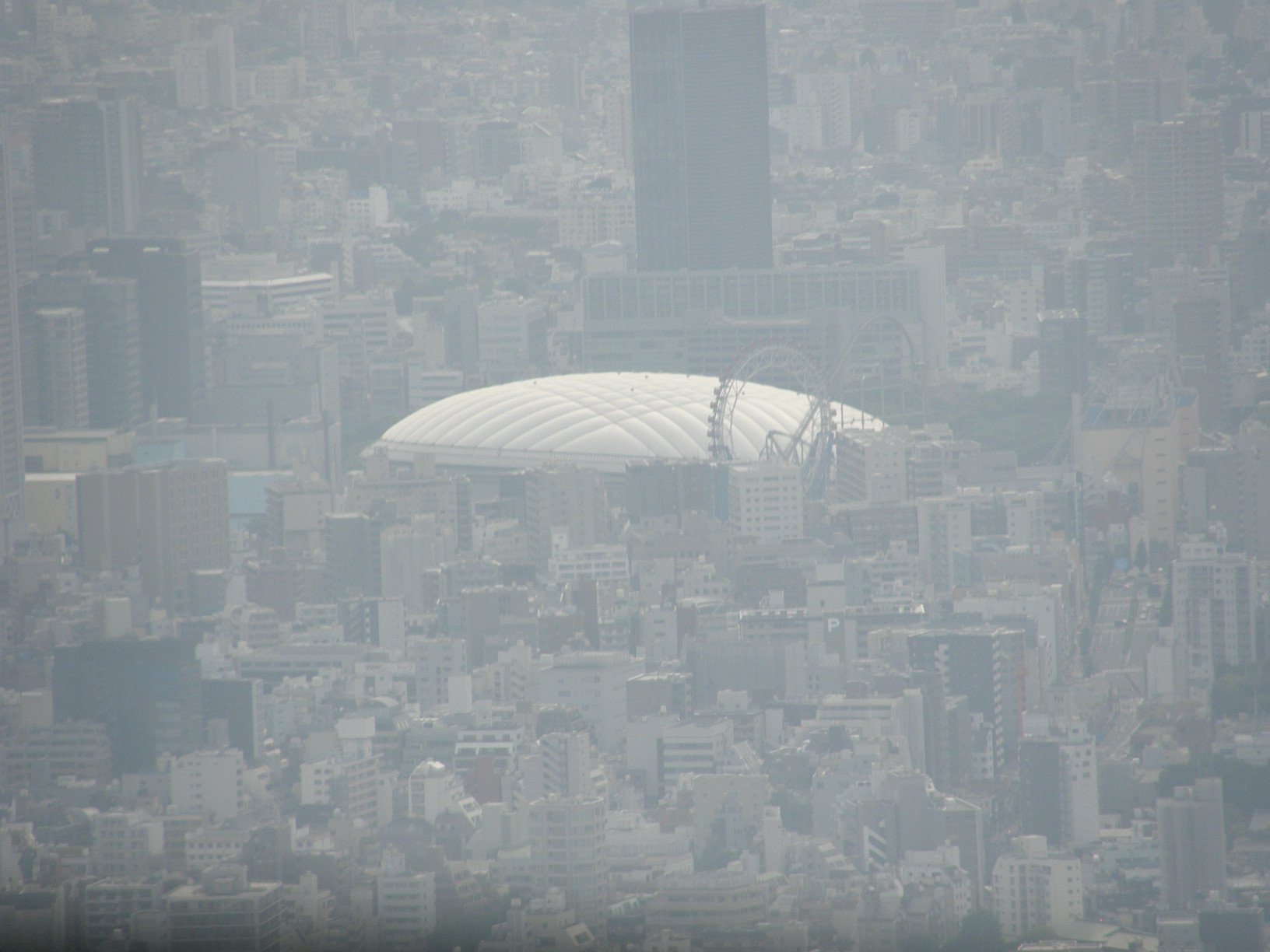 P5261105.jpg