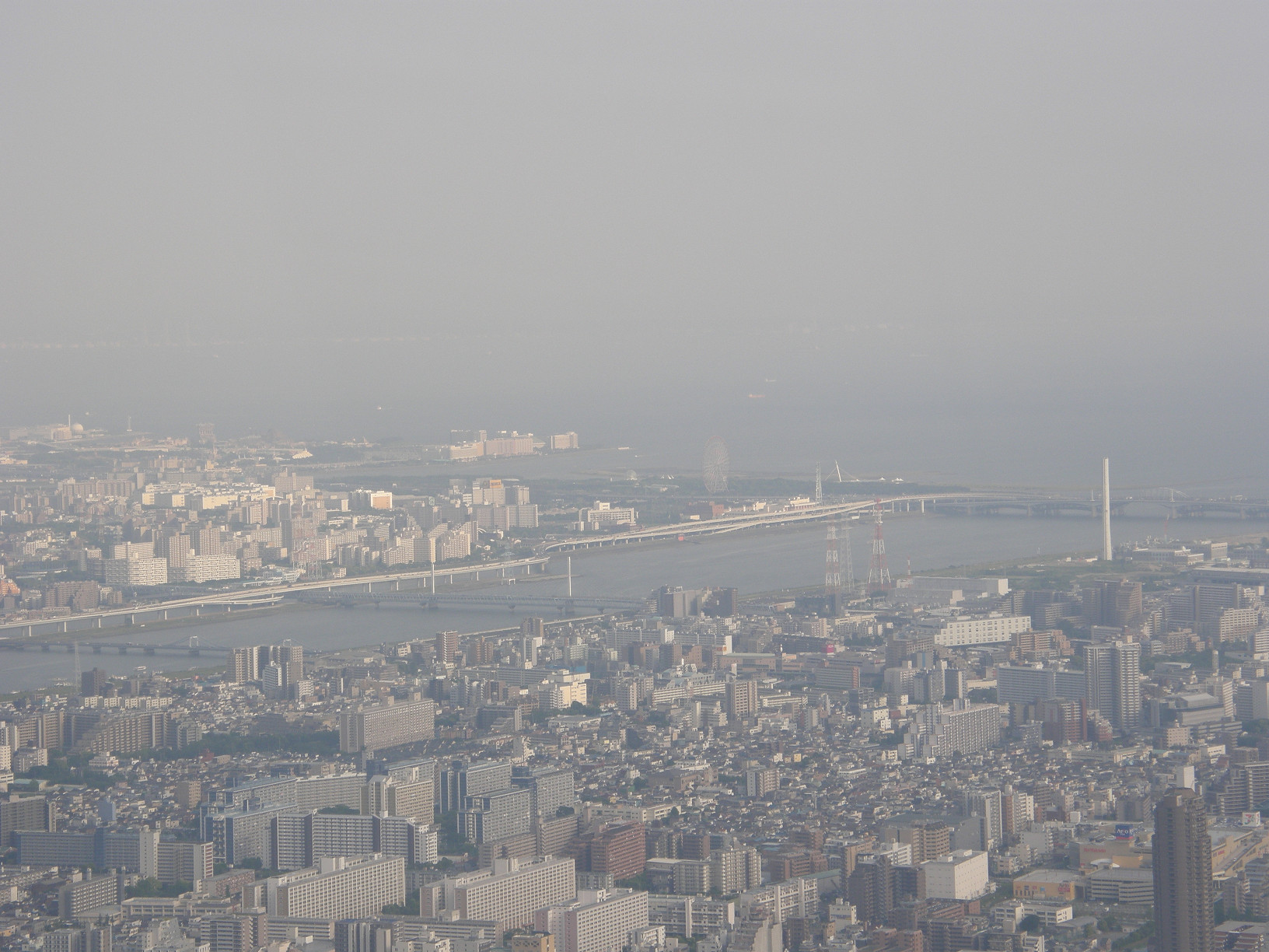 P5261134.jpg