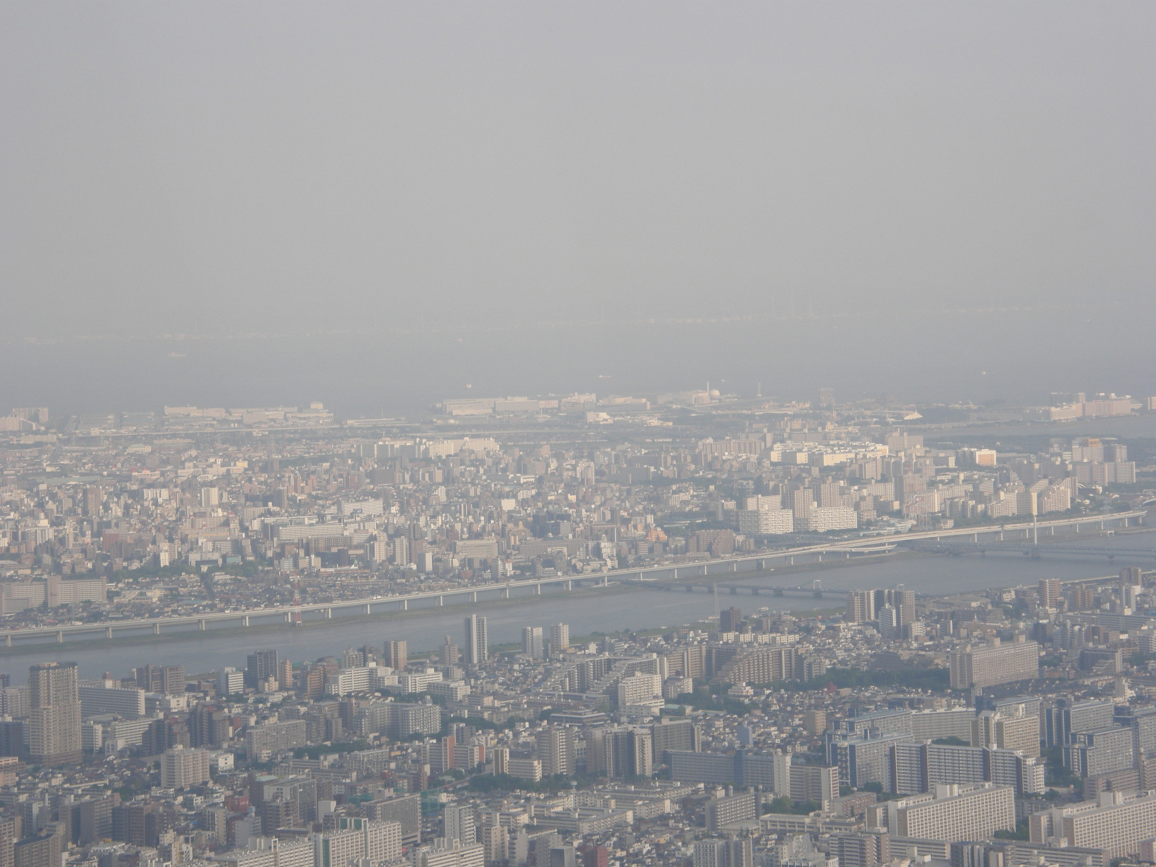 P5261135.jpg