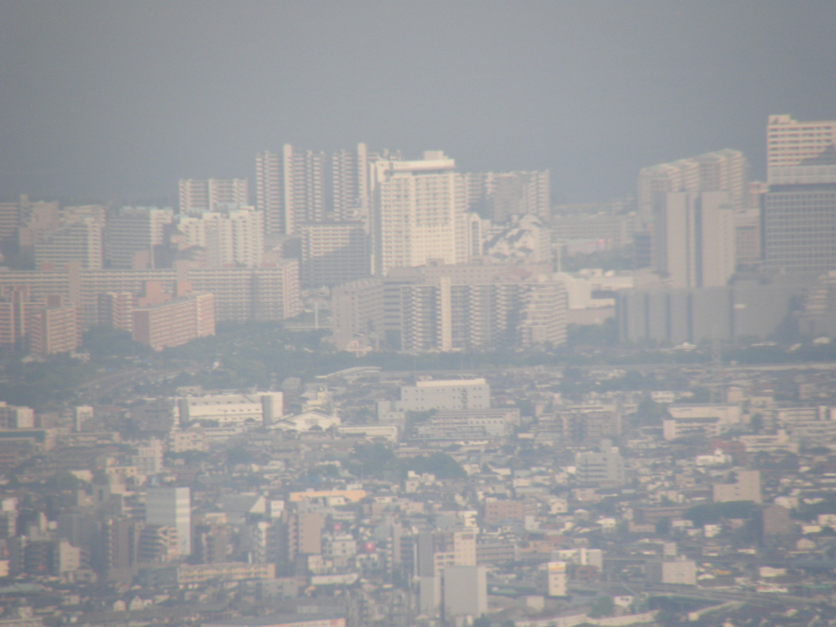 P5261140.jpg