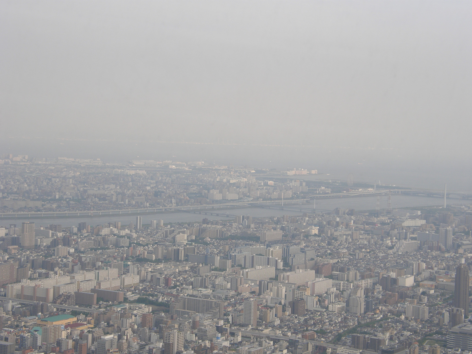 P5261151.jpg