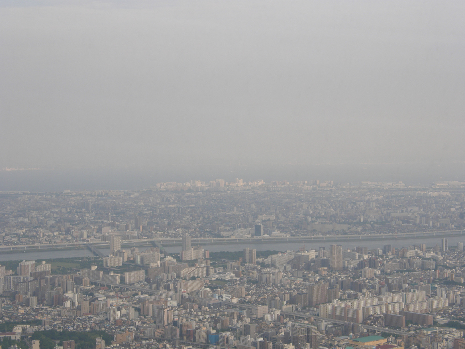 P5261152.jpg