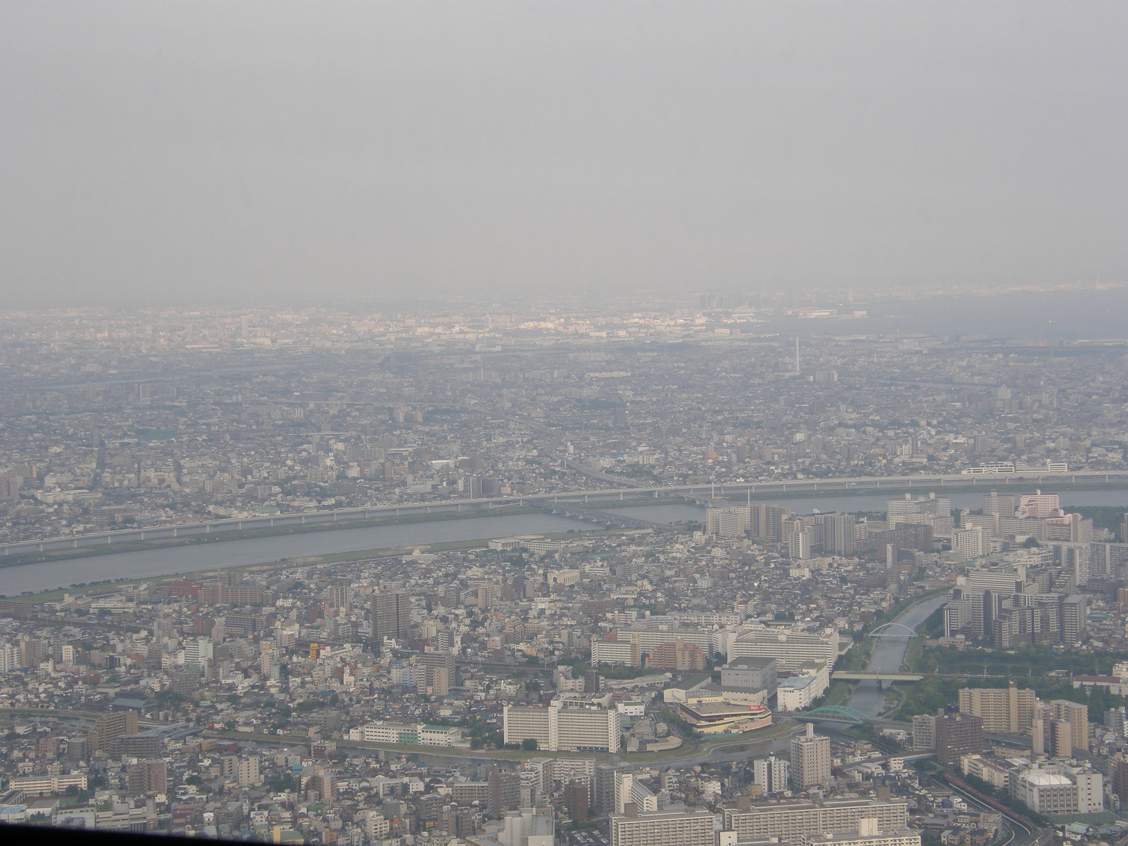 P5261154.jpg