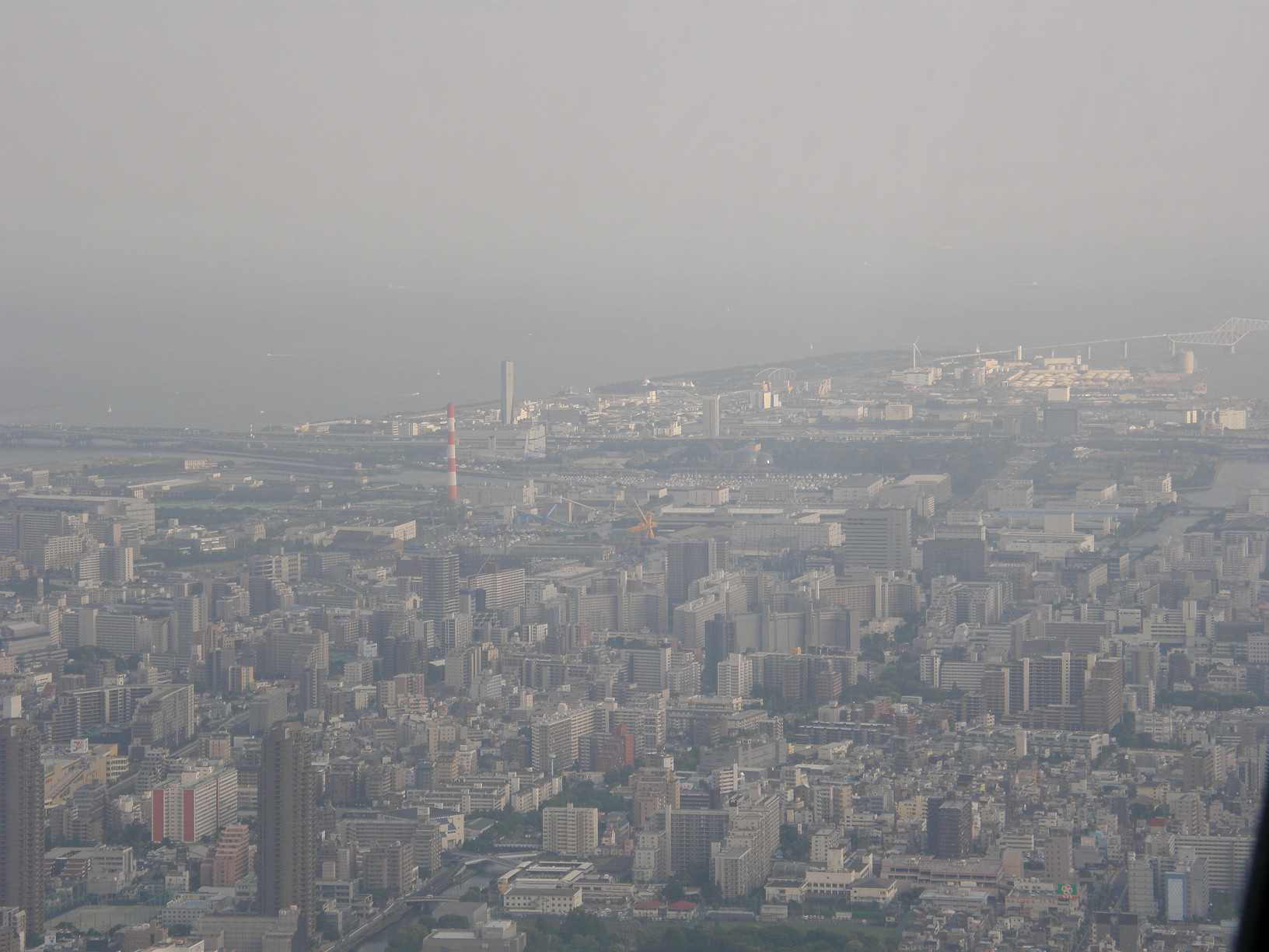 P5261155.jpg