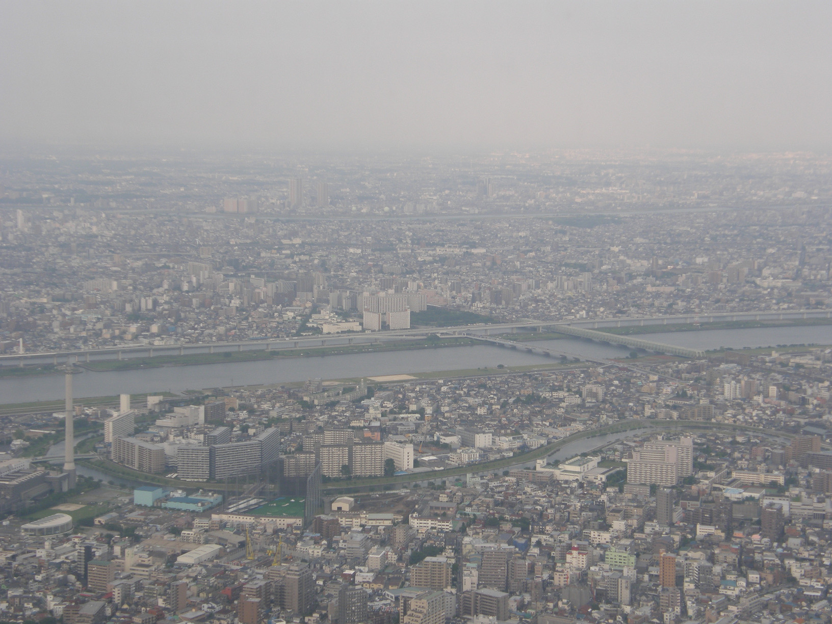 P5261157.jpg