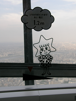 P5261167_thumb.png