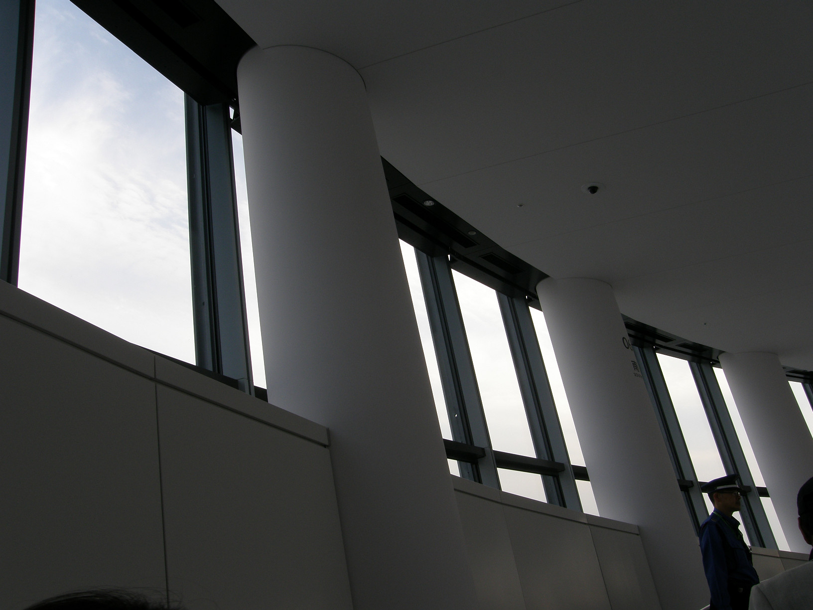 P5261173.jpg