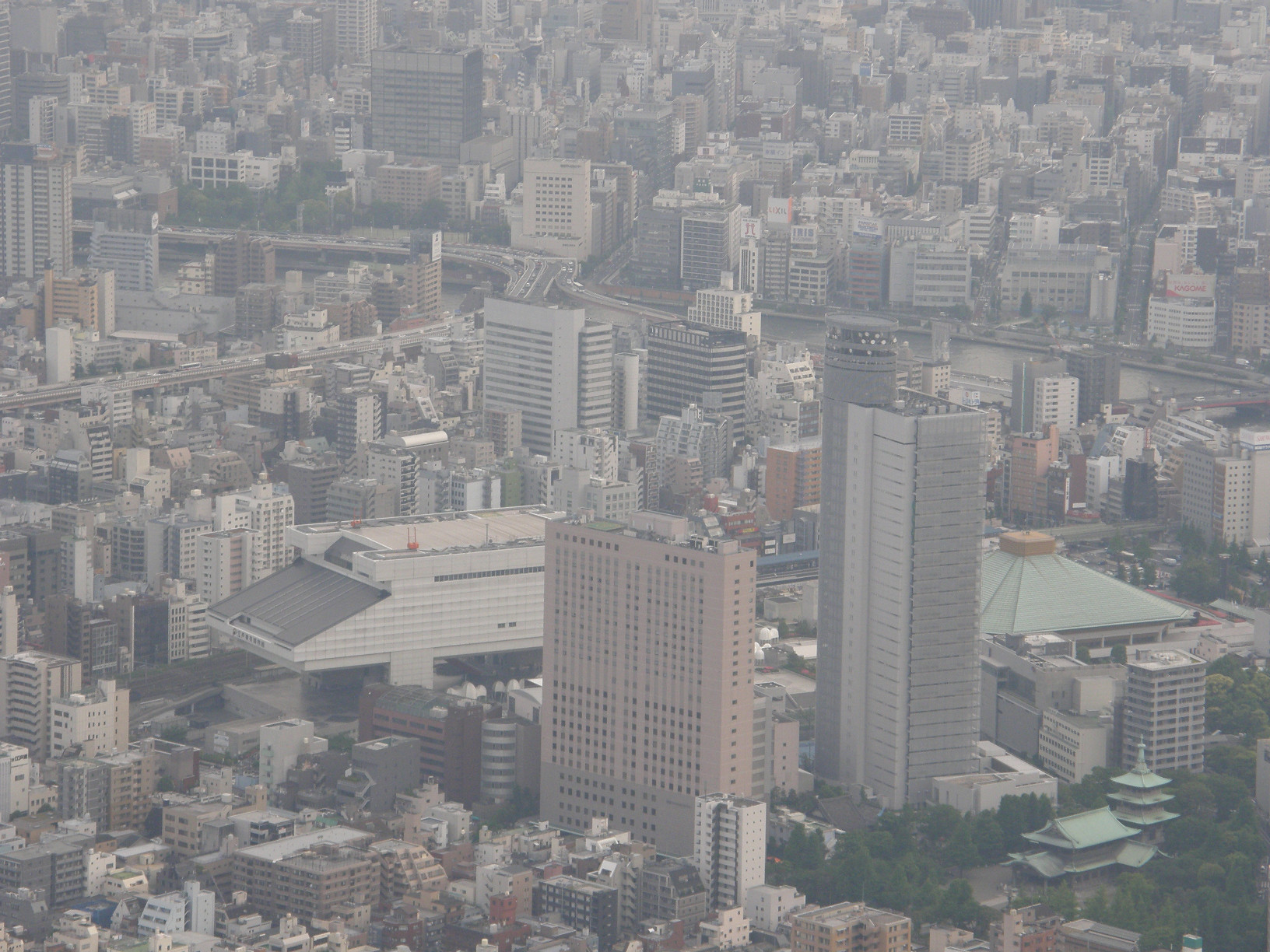 P5261190.jpg