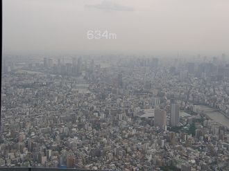 P5261192_thumb.png