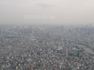 P5261197_thumb.png