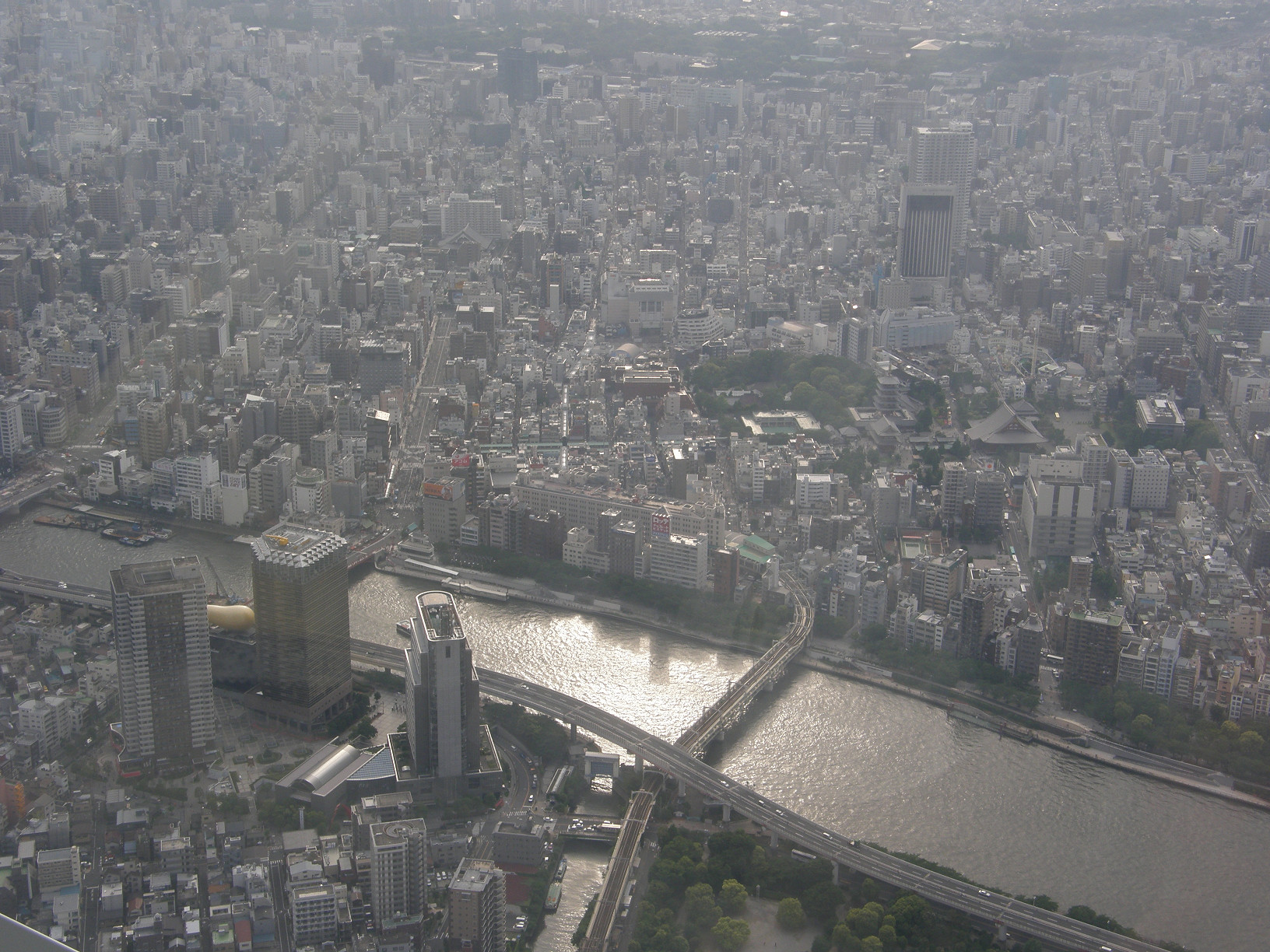 P5261208.jpg