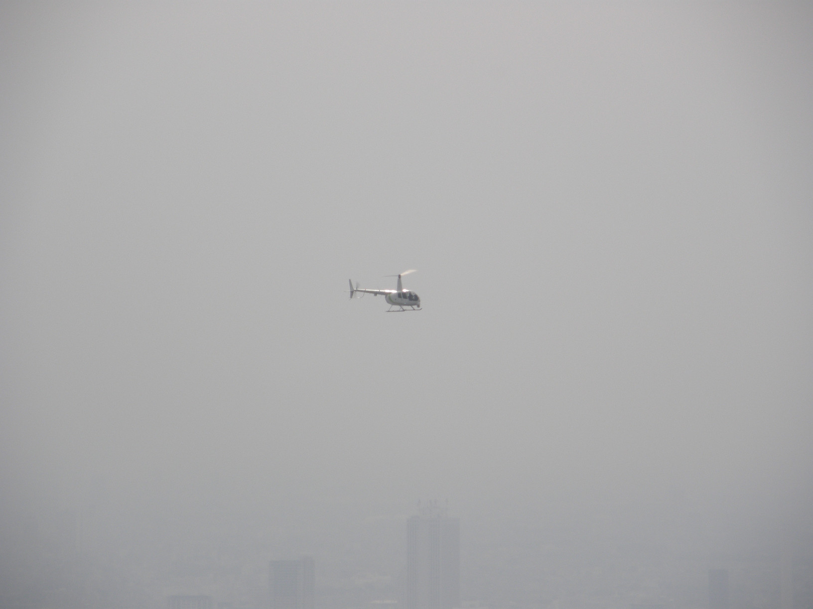 P5261220.jpg