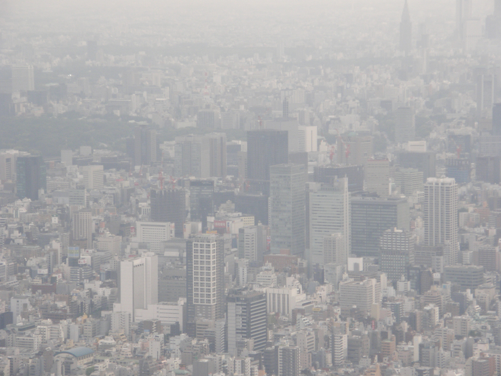P5261254.jpg