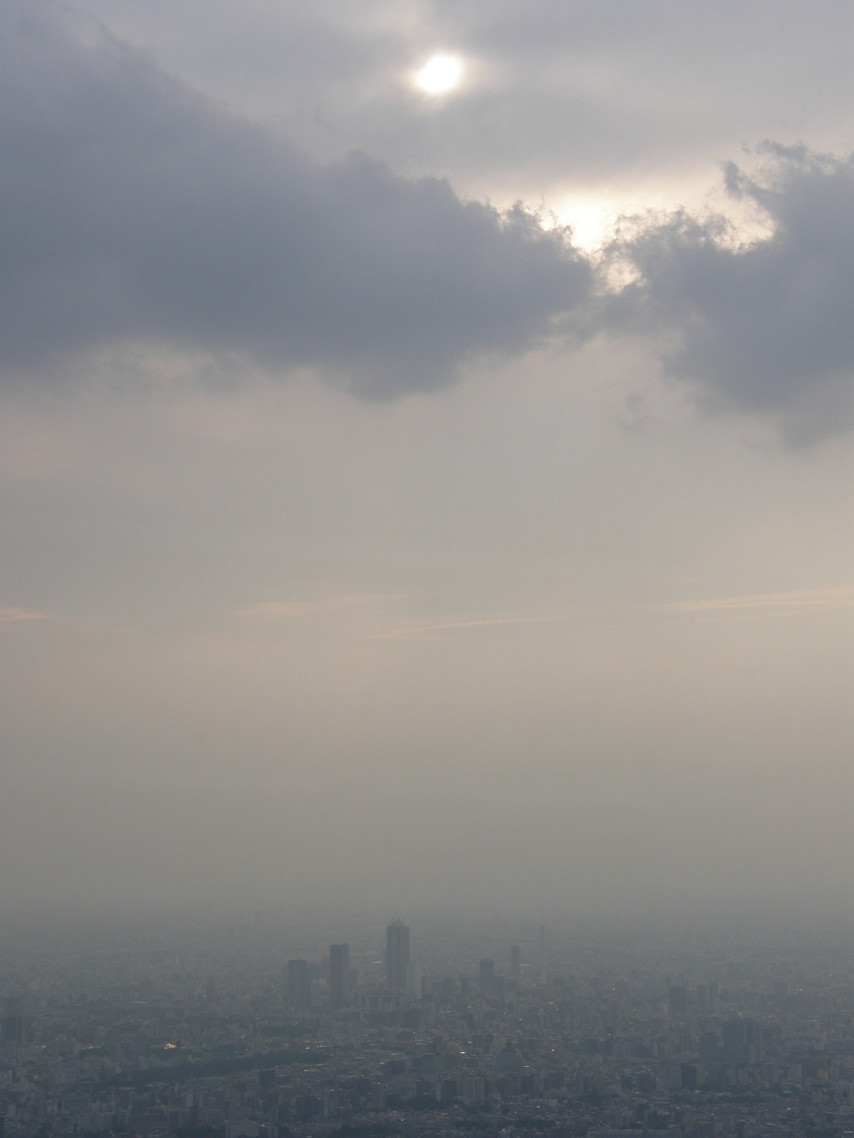 P5261259.jpg
