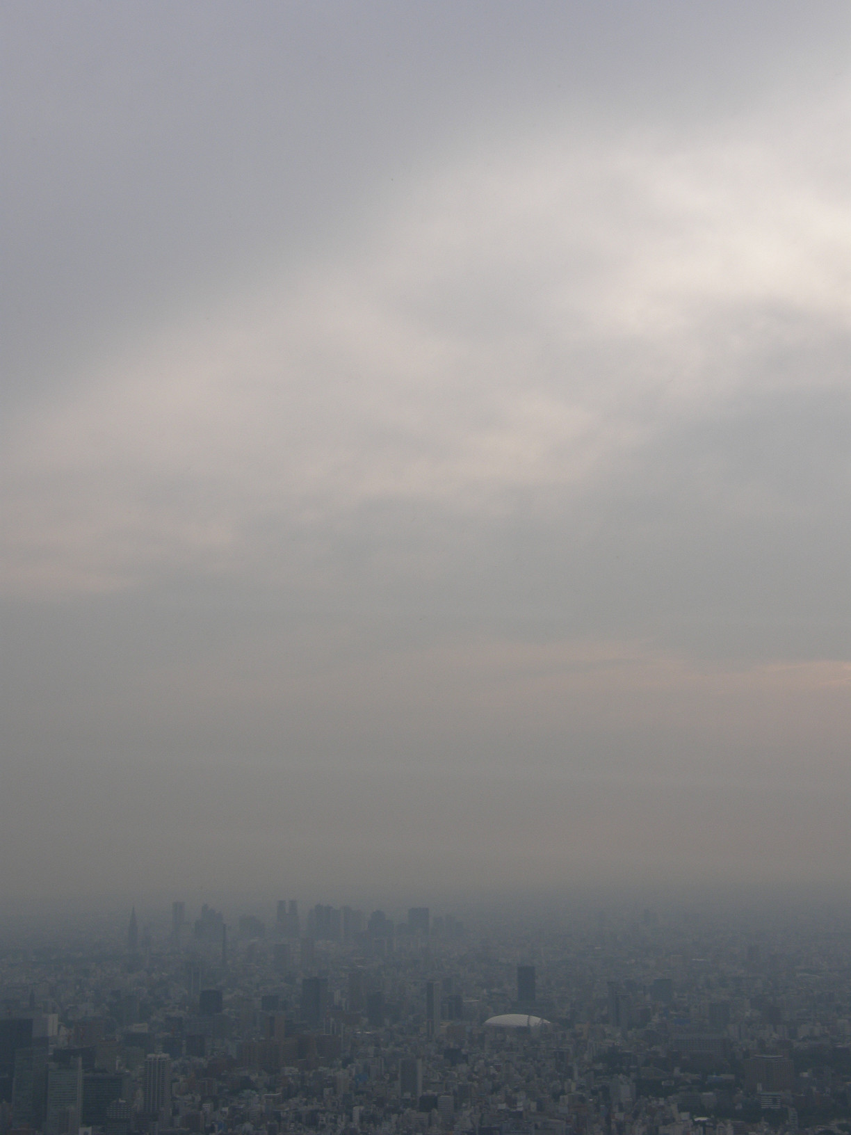 P5261271.jpg