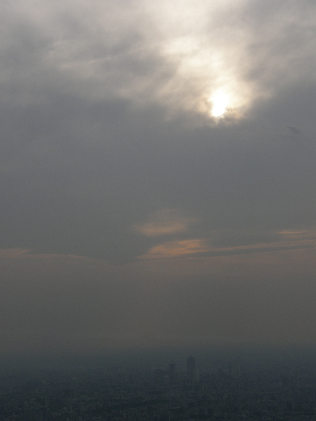 P5261272.jpg