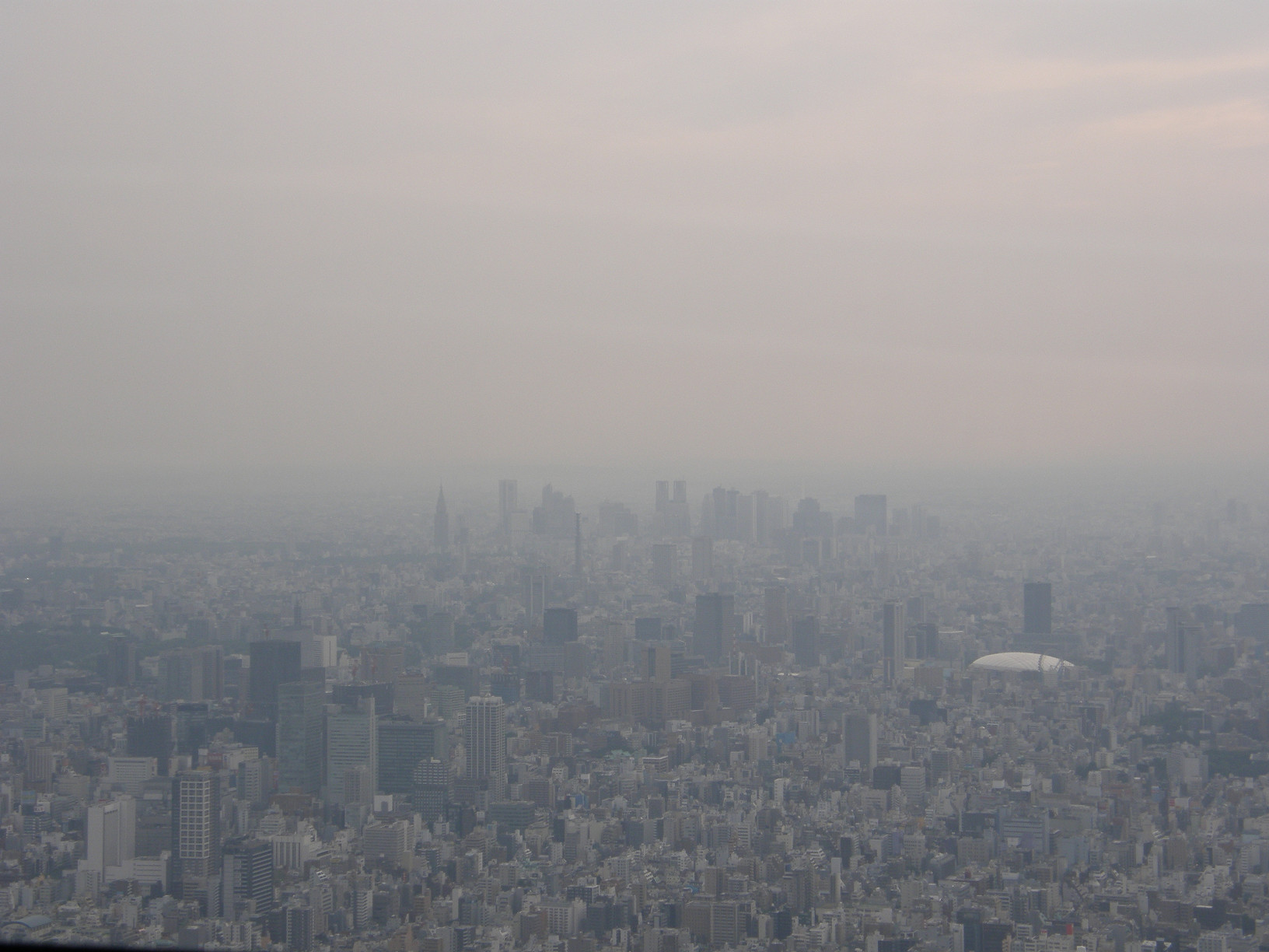 P5261275.jpg