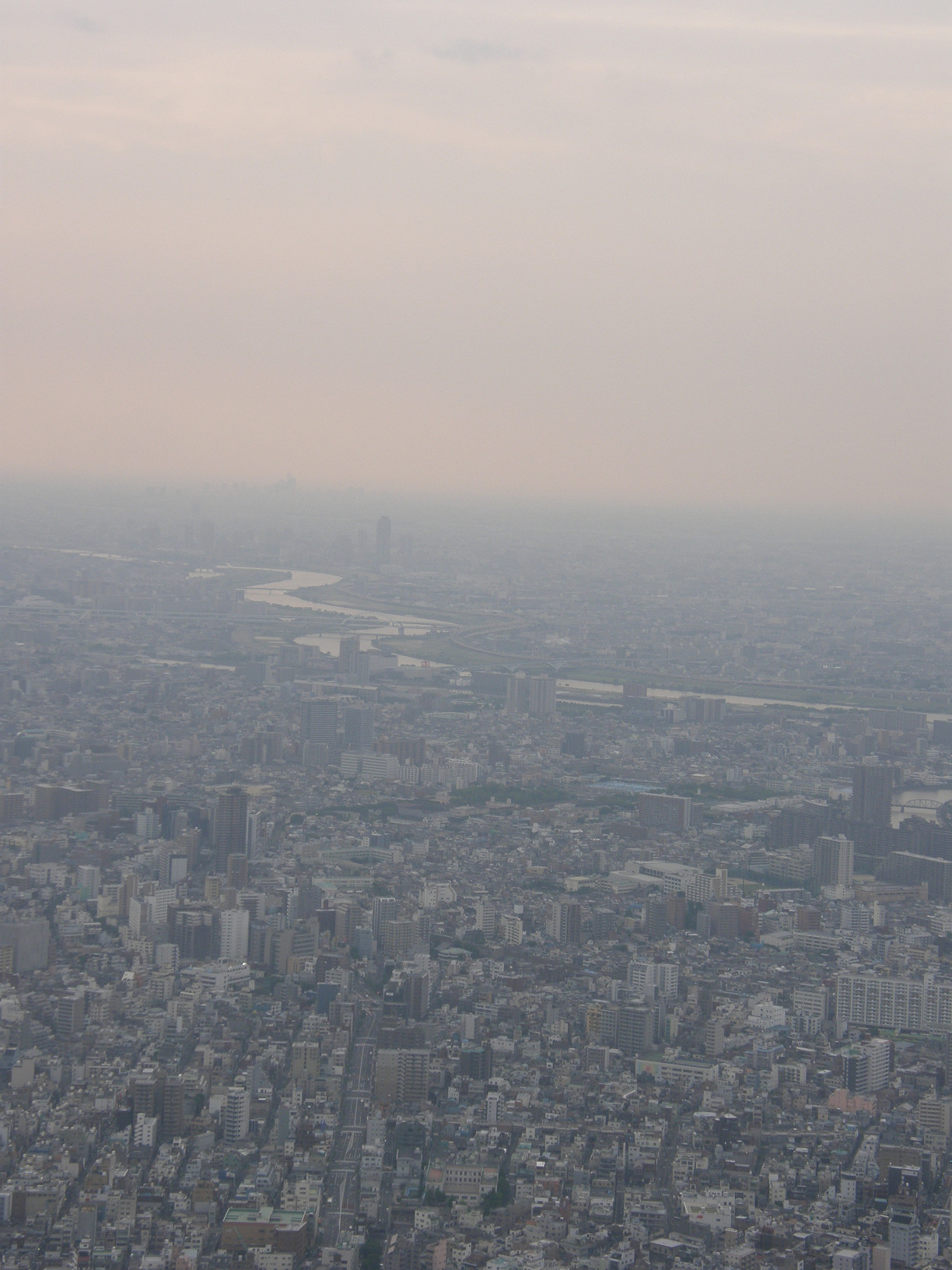 P5261277.jpg