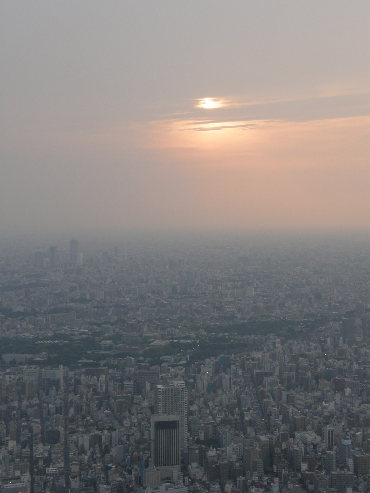 P5261278.jpg