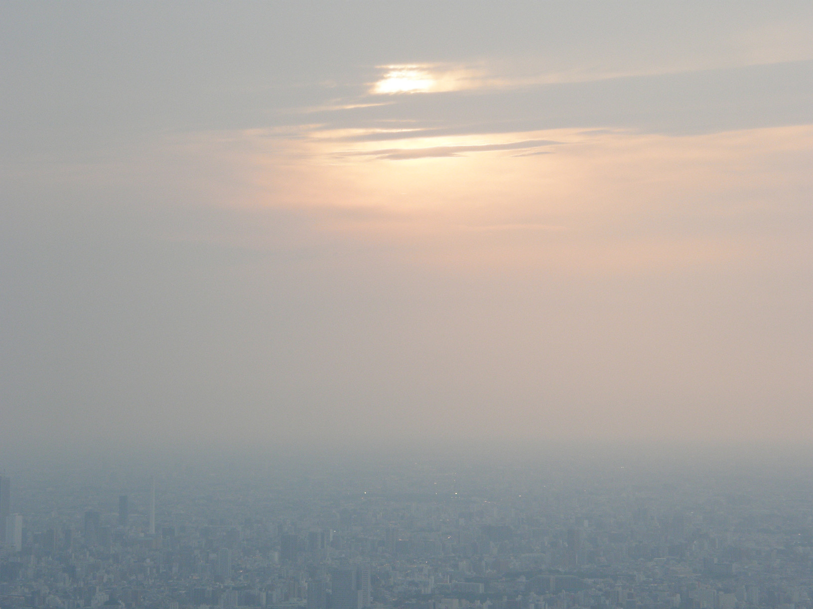 P5261279.jpg