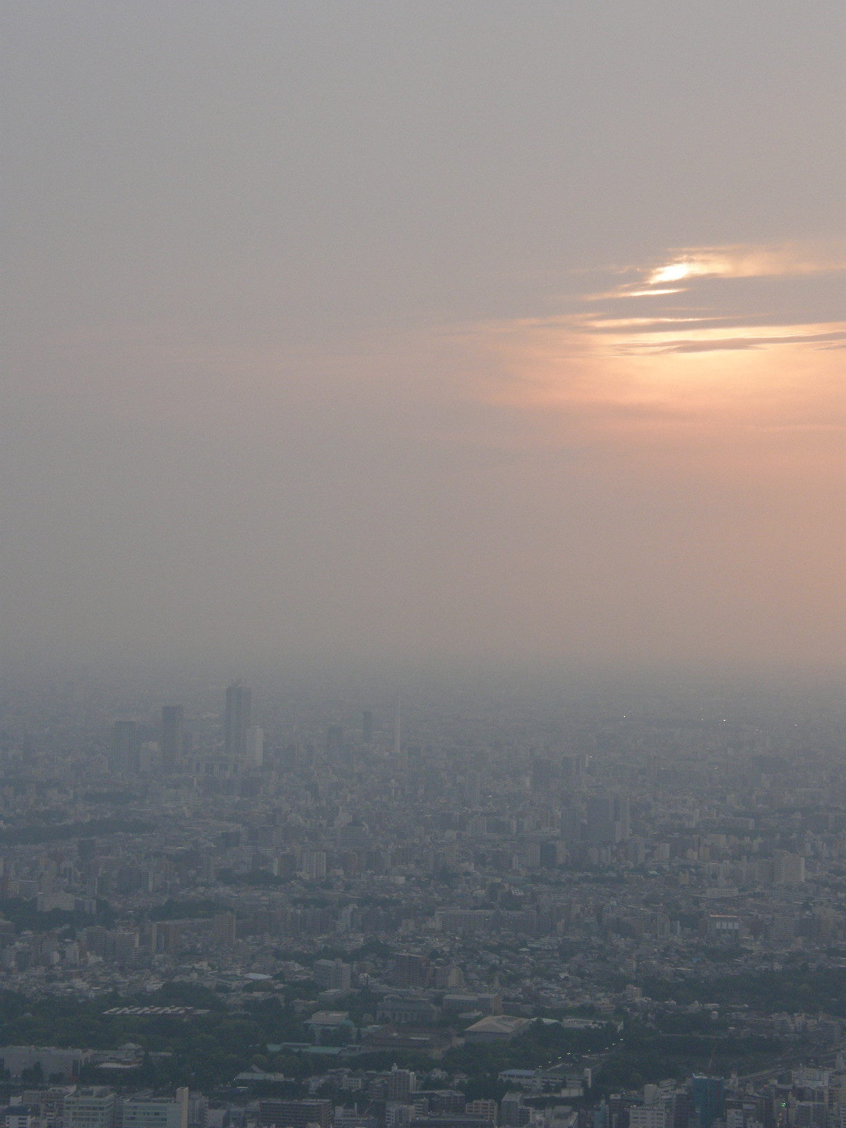 P5261280.jpg