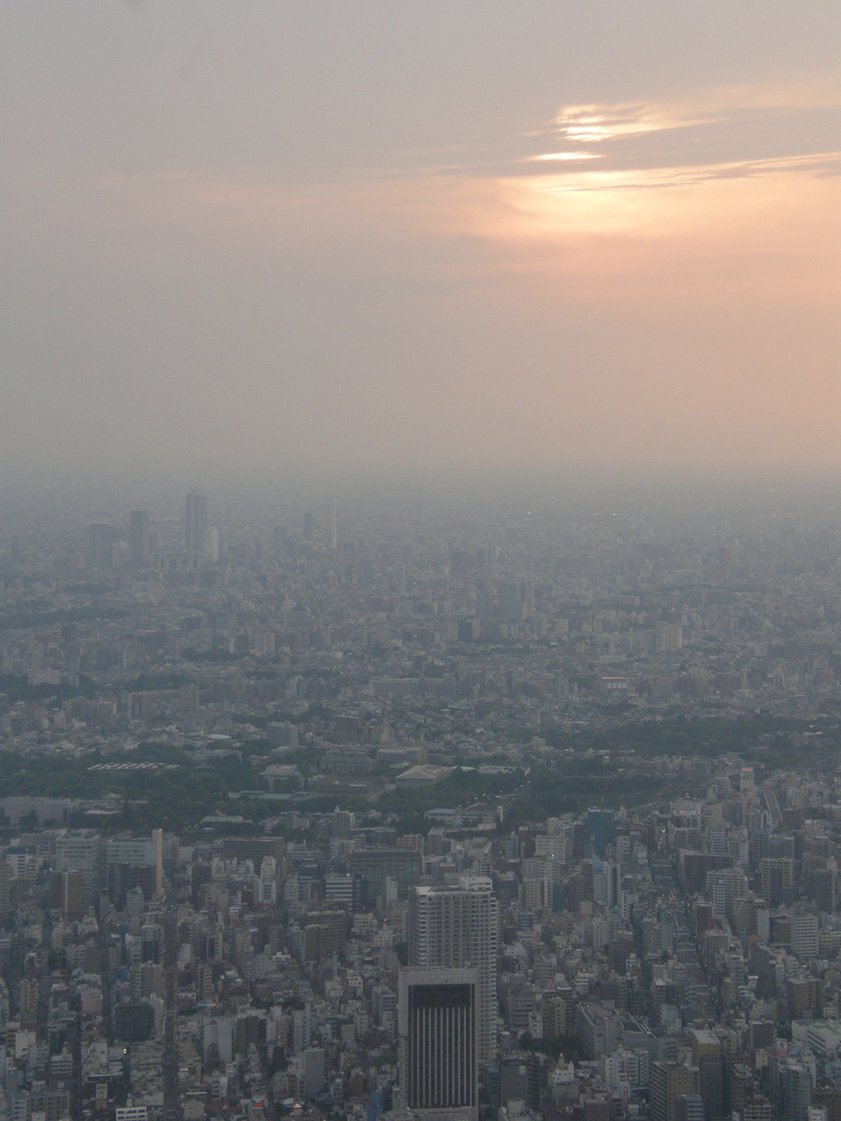 P5261284.jpg