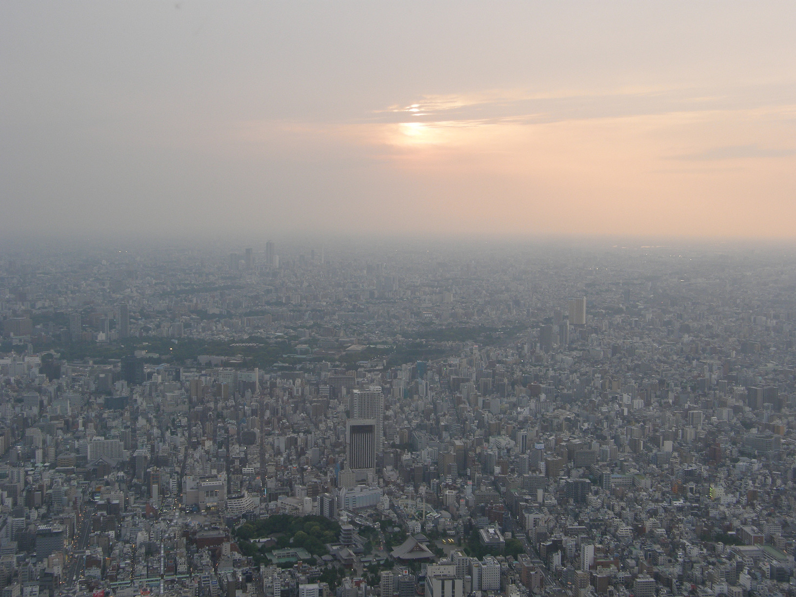 P5261287.jpg