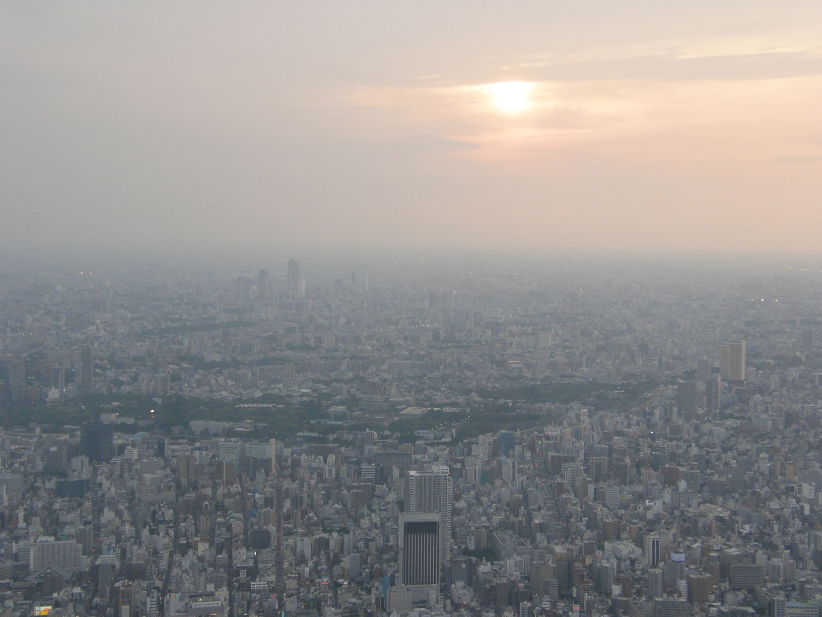 P5261290.jpg