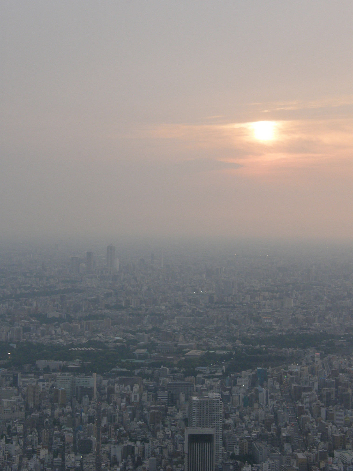 P5261291.jpg