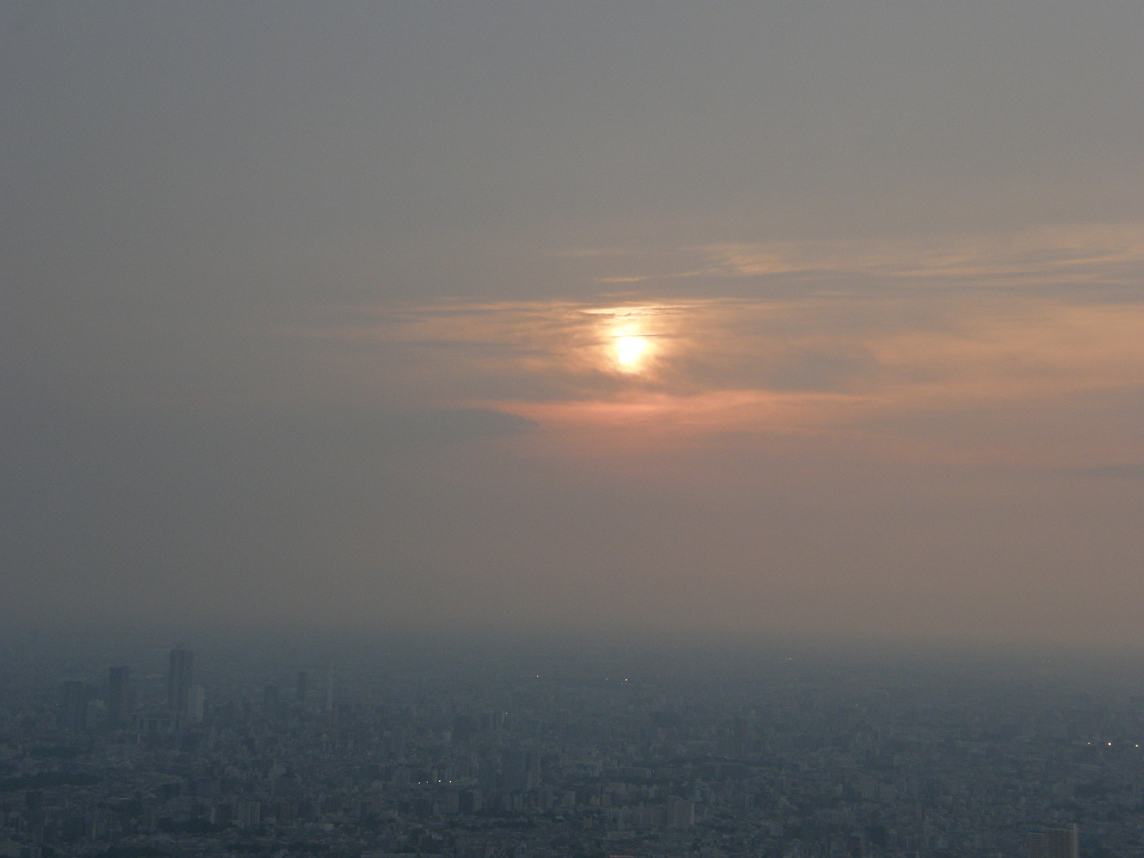 P5261292.jpg