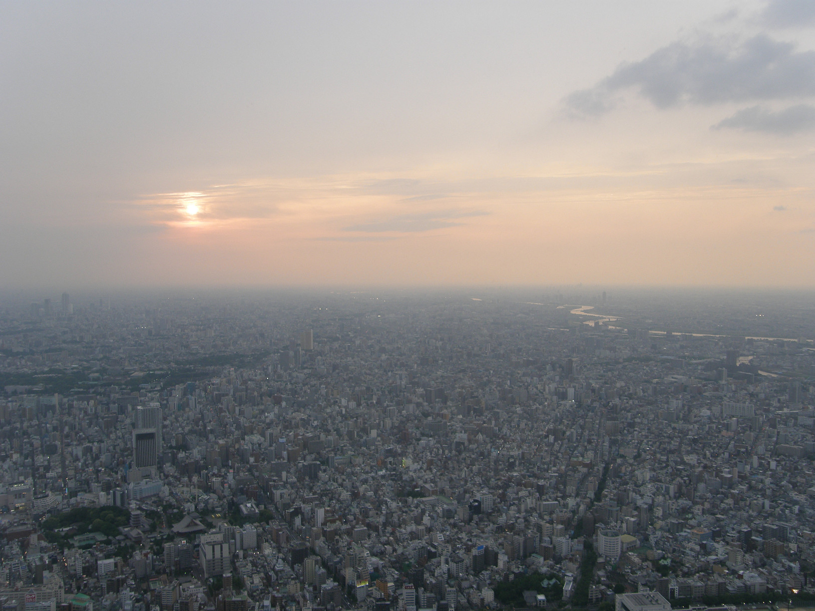 P5261294.jpg