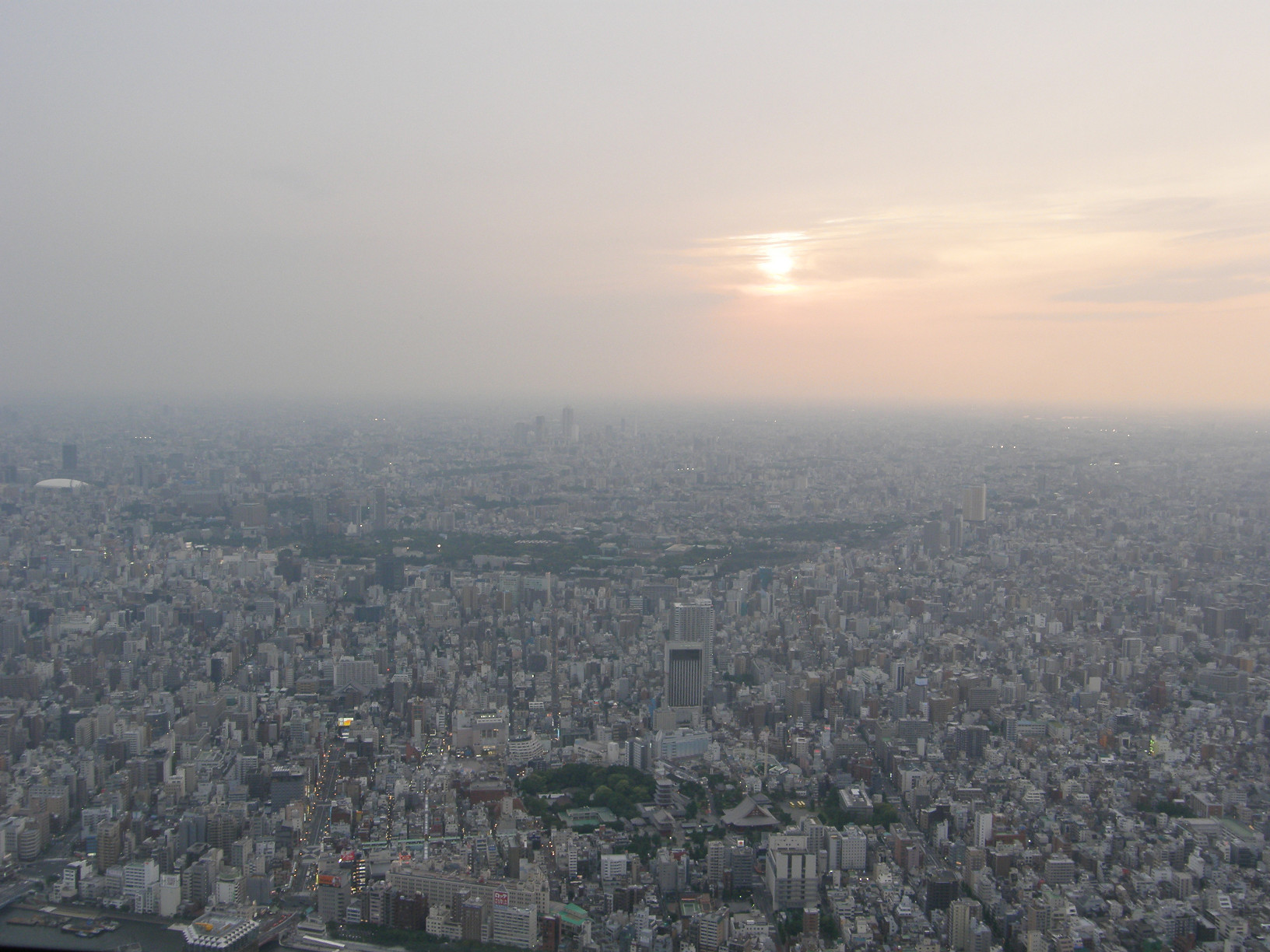 P5261295.jpg