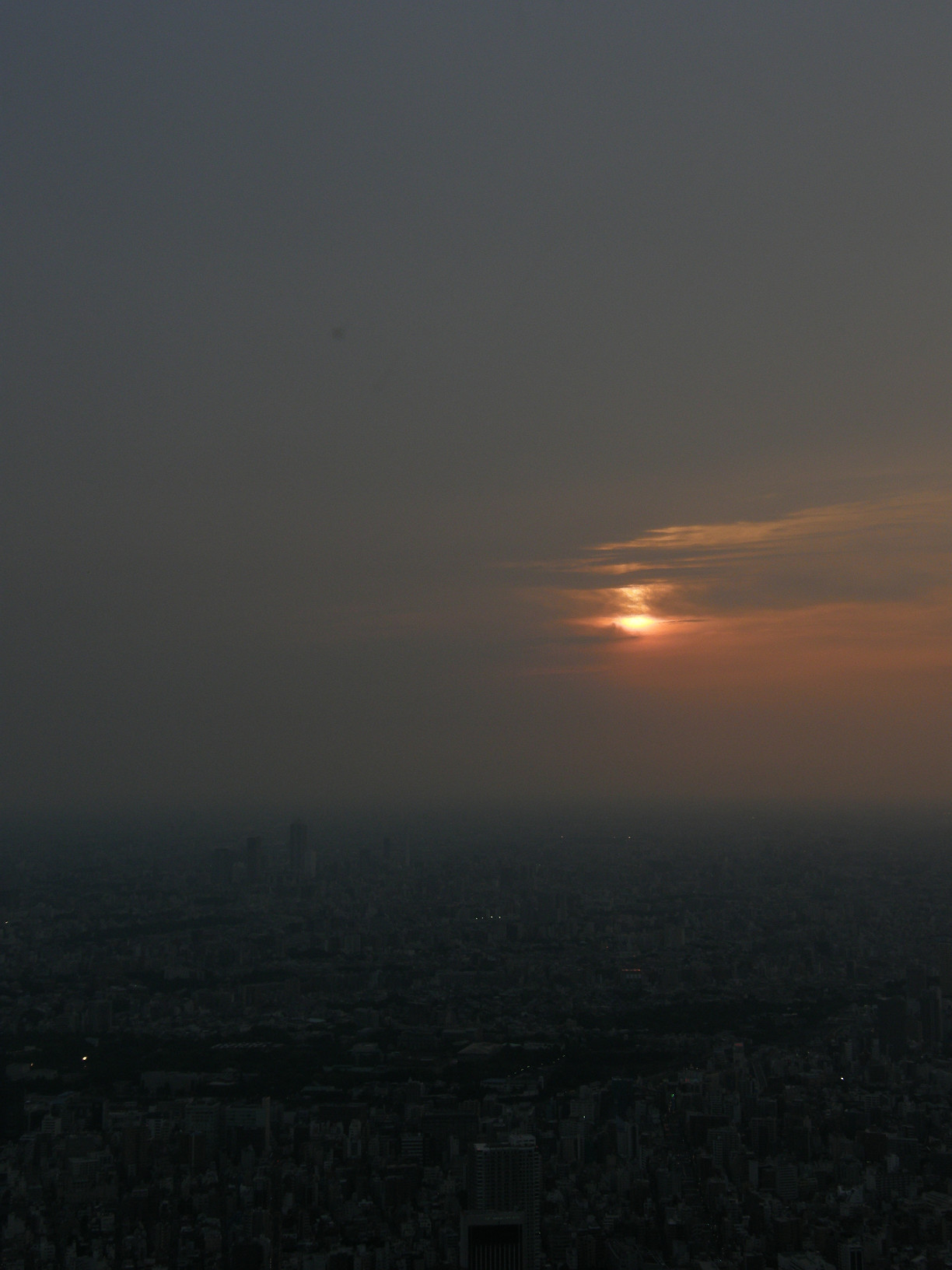 P5261298.jpg
