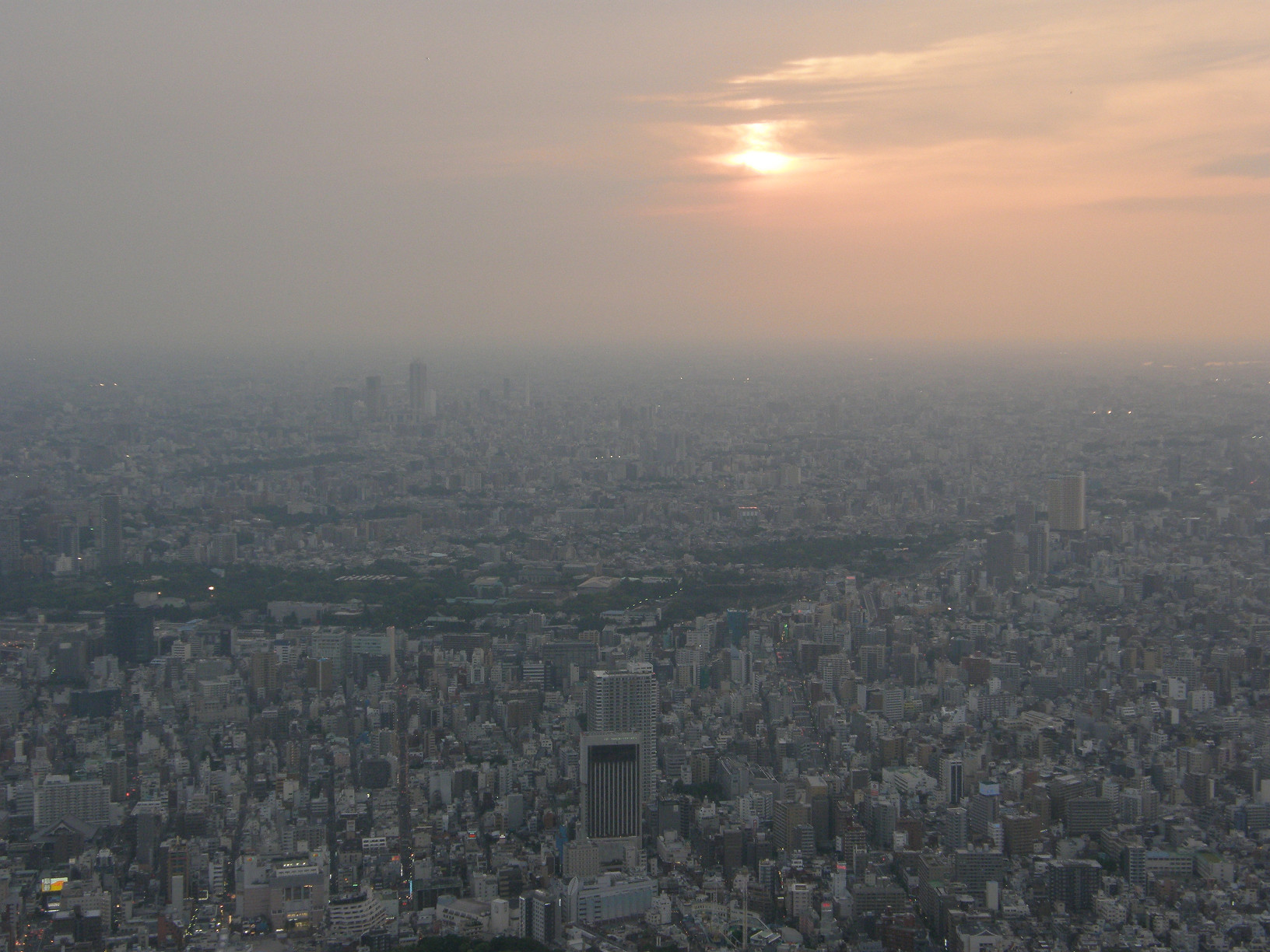 P5261299.jpg